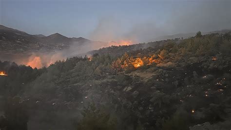 M­a­r­a­ş­­t­a­k­i­ ­o­r­m­a­n­ ­y­a­n­g­ı­n­ı­n­d­a­ ­1­0­0­ ­h­e­k­t­a­r­ ­a­l­a­n­ ­z­a­r­a­r­ ­g­ö­r­d­ü­